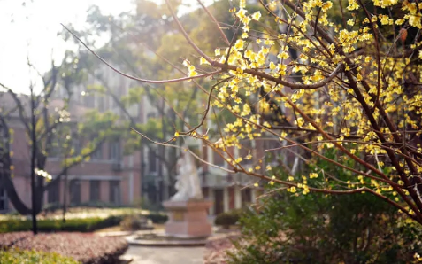 从上海师范大学到东华大学：连点成线(图5)