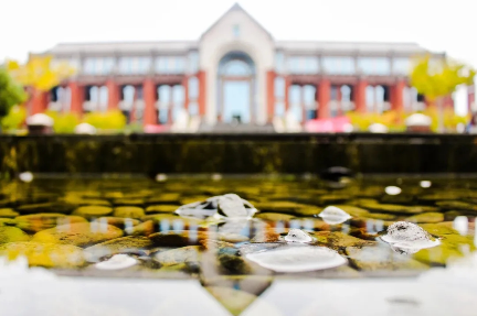 从上海政法学院到华东政法大学：梧高凤至，花开蝶来(图1)