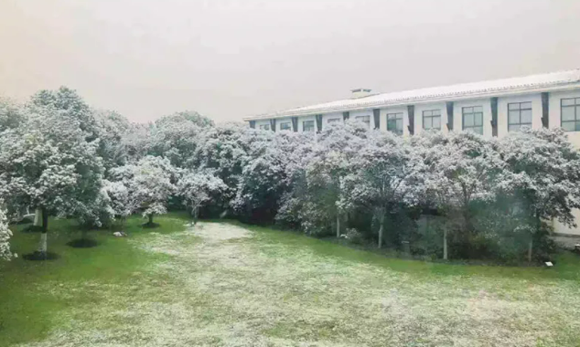 从上海师范大学到上海大学：插班生政策弥补了我高考失误的遗憾(图4)