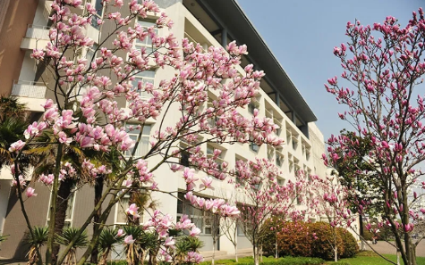 从上海应用技术大学到东华大学:一路向前,无问西东(图3) 从上海应用技术大学到东华大学:一路向前,无问西东(图3)