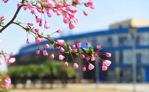 从上海应用技术大学到东华大学:一路向前,无问西东(图4) 从上海应用技术大学到东华大学:一路向前,无问西东(图4)